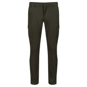 Pánské kalhoty Regatta Bryer Cargo Trousers II Velikost: M-L / Barva: tmavě zelená