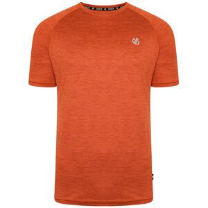 Pánské triko Dare 2b Persist Tee Velikost: M / Barva: oranžová
