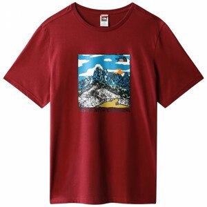 Pánské triko The North Face M Seasonal Graphic Tee Velikost: L / Barva: červená