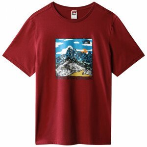 Pánské triko The North Face M Seasonal Graphic Tee Velikost: XL / Barva: červená