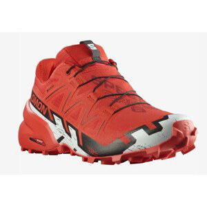 Pánské běžecké boty Salomon Speedcross 6 Gore-Tex Velikost bot (EU): 42 / Barva: červená