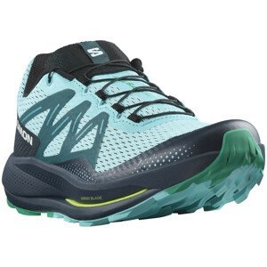 Pánské běžecké boty Salomon Pulsar Trail Velikost bot (EU): 42 / Barva: modrá