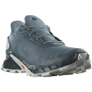Pánské běžecké boty Salomon Alphacross 4 Gore-Tex Velikost bot (EU): 44 / Barva: modrá/šedá