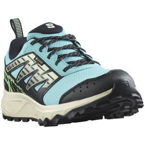 Dámské běžecké boty Salomon Wander Gore-Tex Velikost bot (EU): 38 / Barva: modrá/bíla