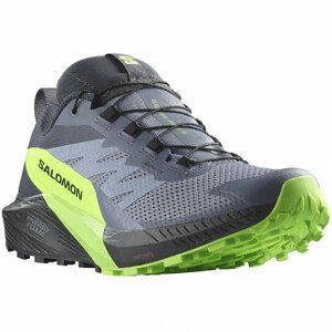 Pánské běžecké boty Salomon Sense Ride 5 Gore-Tex Velikost bot (EU): 43 (1/3) / Barva: šedá