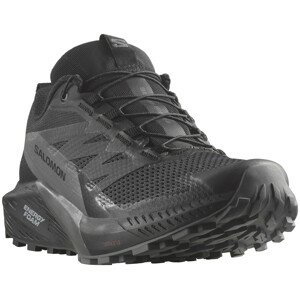 Dámské běžecké boty Salomon Sense Ride 5 Gore-Tex Velikost bot (EU): 40 (2/3) / Barva: černá