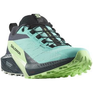Dámské běžecké boty Salomon Sense Ride 5 Gore-Tex Velikost bot (EU): 38 / Barva: modrá/zelená