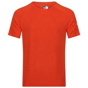 Pánské triko Regatta Ambulo Velikost: L / Barva: oranžová