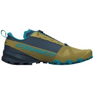Pánské boty Dynafit Traverse Velikost bot (EU): 45 / Barva: modrá/zelená