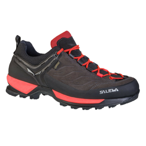 Dámské boty Salewa WS MTN Trainer GTX Velikost bot (EU): 37 (UK 4,5) / Barva: hnědá