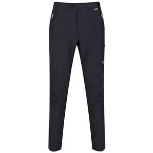 Pánské kalhoty Regatta Highton Trs Velikost: L/XL / Barva: tmavě šedá