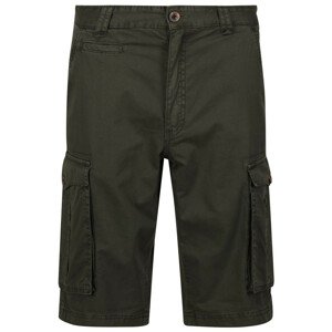 Pánské kraťasy Regatta Shorebay Short Velikost: XL / Barva: khaki