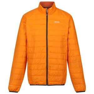 Pánská bunda Regatta Hillpack Velikost: S / Barva: oranžová