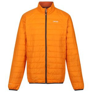 Pánská bunda Regatta Hillpack Velikost: L / Barva: oranžová