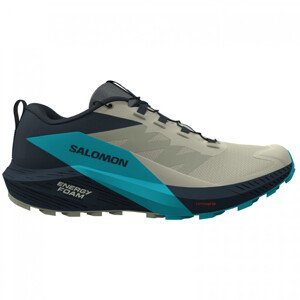 Pánské běžecké boty Salomon Sense Ride 5 Velikost bot (EU): 44 / Barva: šedá/modrá