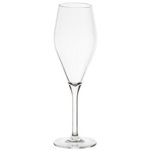 Set skleniček Gimex ROY Champagne glass