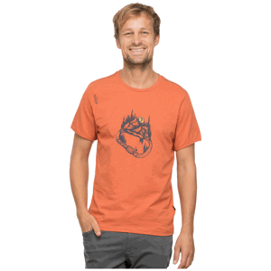Pánské tričko Chillaz Carabiner Forest Velikost: L / Barva: oranžová