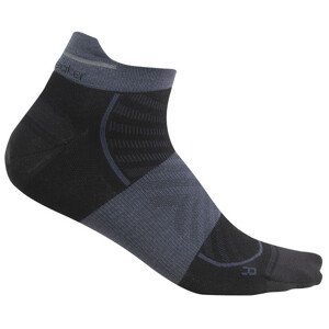 Pánské ponožky Icebreaker Men Merino Run+ Ultralight Micro Velikost ponožek: L / Barva: černá