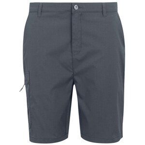 Pánské kraťasy Regatta Dalry Short Velikost: XL-XXL / Barva: šedá