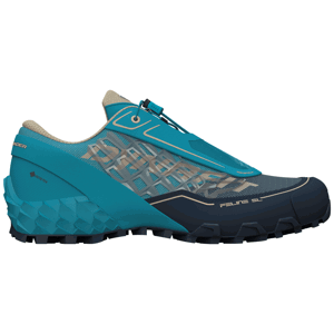 Pánské běžecké boty Dynafit Feline Sl Gtx Velikost bot (EU): 42,5 / Barva: modrá/fialová