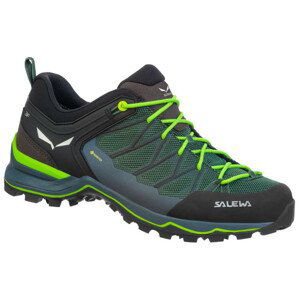 Pánské boty Salewa Ms Mtn Trainer Lite Gtx Velikost bot (EU): 43 / Barva: černá/zelená