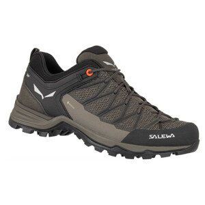 Pánské boty Salewa Ms Mtn Trainer Lite Gtx Velikost bot (EU): 41 / Barva: šedá