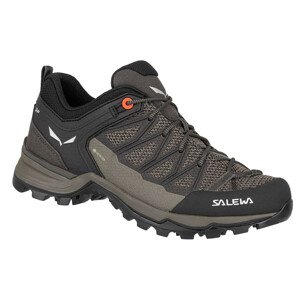 Dámské boty Salewa Ws Mtn Trainer Lite Gtx Velikost bot (EU): 41 / Barva: šedá