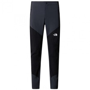 Pánské kalhoty The North Face Felik Slim Tapered Pant Velikost: L / Barva: šedá