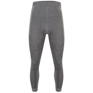 Pánské funkční spodky Dare 2b In The ZoneIILegg Velikost: XL-XXL / Barva: šedá