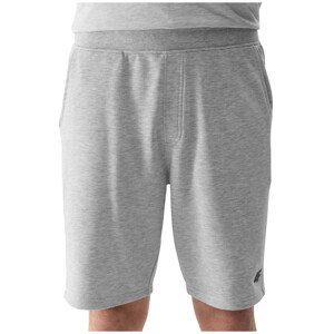 Pánské kraťasy 4F Shorts Cas M284 Velikost: M / Barva: světle šedá