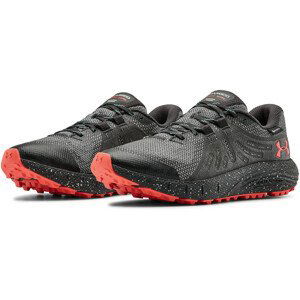 Dámské boty Under Armour W Charged Bandit Trail GTX Velikost bot (EU): 37,5 / Barva: šedá