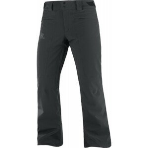 Pánské kalhoty Salomon Untracked Pant Velikost: M / Délka kalhot: regular / Barva: černá