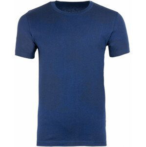 Pánské triko Alpine Pro Strell Velikost: L / Barva: modrá