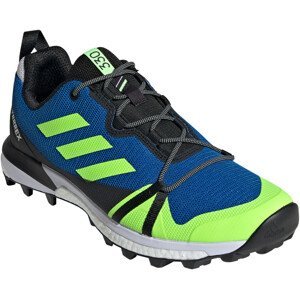 Pánské boty Adidas Adidas Terrex Skychaser LT Velikost bot (EU): 43 (1/3) / Barva: modrá/zelená