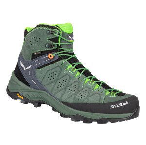 Pánské boty Salewa Ms Alp Trainer 2 Mid Gtx Velikost bot (EU): 43 / Barva: zelená