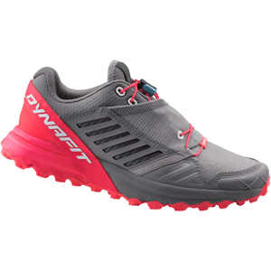 Dámské boty Dynafit Alpine Pro W Velikost bot (EU): 40,5 / Barva: červená/šedá
