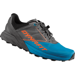 Pánské běžecké boty Dynafit Alpine Velikost bot (EU): 41 / Barva: modrá/šedá