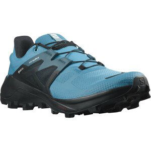 Pánské boty Salomon Wildcross 2 Gore-Tex Velikost bot (EU): 44 (2/3) / Barva: modrá