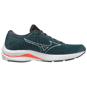 Pánské boty Mizuno Wave Rider 25 Velikost bot (EU): 42 / Barva: modrá