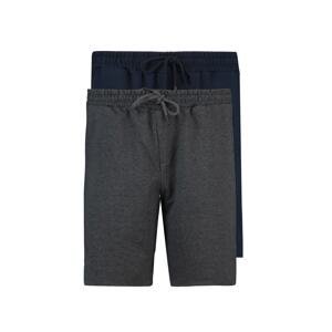 Trendyol Anthracite-Navy Blue Men's Basic Regular/Normal Wear Straight 2-pack Shorts.