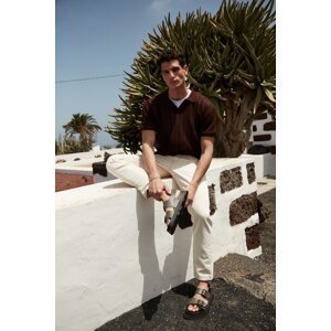 Trendyol Men's Brown Limited Edition Regular Fit Short Sleeve Polo Neck Knitwear Tshirt