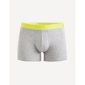 Celio Boxerky Dinorfluo - Pánské