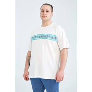DEFACTO Large Size Crew Neck Cotton Combed Combed T-Shirt