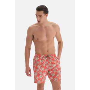 Dagi Orange - Ecru Palm Tree Patterned Medium Swim Shorts