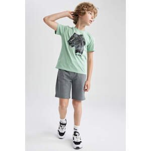 DEFACTO Boys Printed Short Sleeve T-Shirt Shorts 2-Pack Set