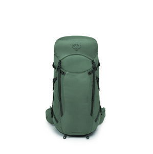 Osprey SPORTLITE 30 pine leaf green