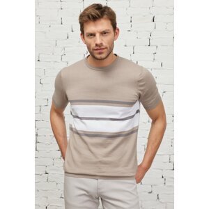 ALTINYILDIZ CLASSICS Men's Mink-ecru Standard Fit Regular Cut Crew Neck 100% Cotton Short Sleeves Striped Knitwear T-Shirt.
