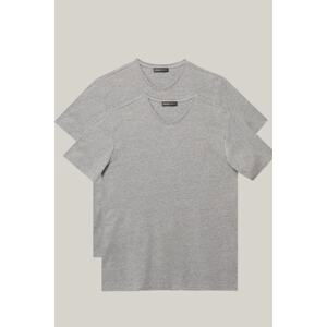 ALTINYILDIZ CLASSICS Men's Gray Slim Fit Slim Fit V-Neck T-Shirts of 2 Pack.