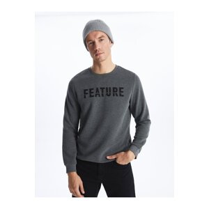 LC Waikiki Men's Crew Neck Long Sleeve Printed Sweatshirt.