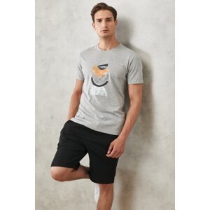 ALTINYILDIZ CLASSICS Men's Gray Melange Slim Fit Slim Fit 100% Cotton Crew Neck Printed T-Shirt